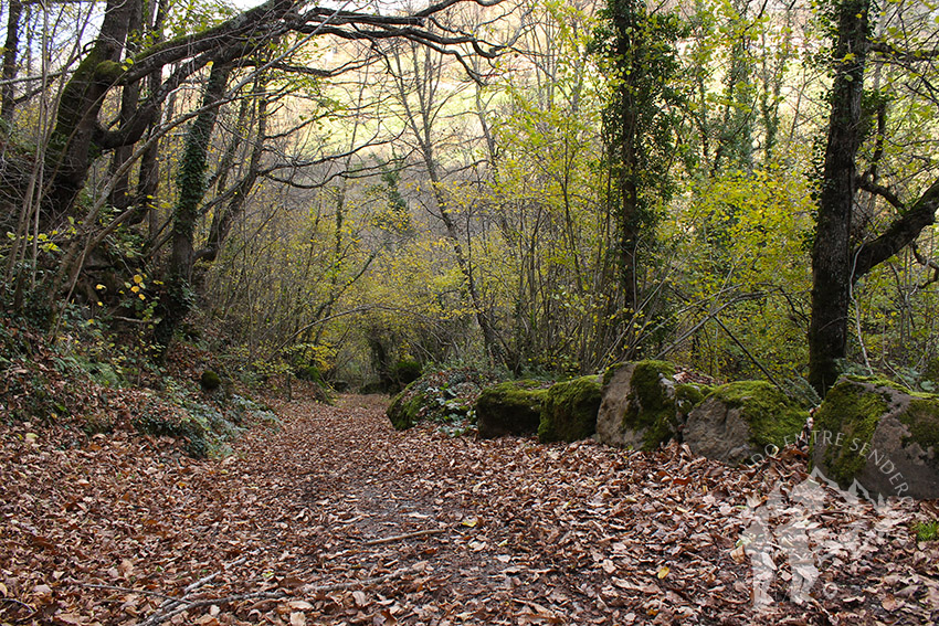 Camino Natural de la Senda del Oso