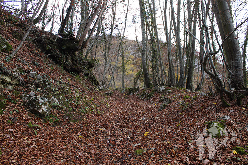 Camino Natural de la Senda del Oso