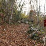 Camino Natural de la Senda del Oso