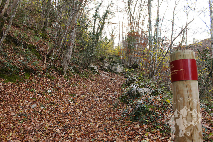 Camino Natural de la Senda del Oso