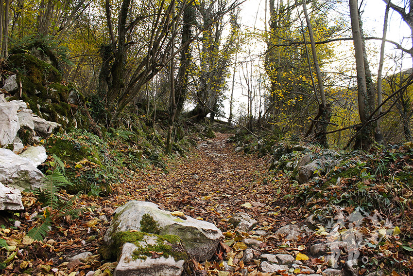 Camino Natural de la Senda del Oso