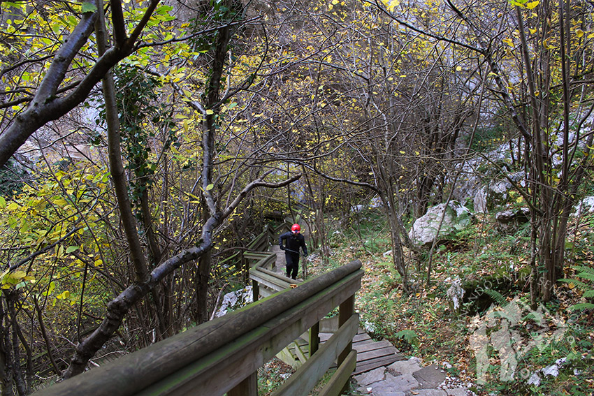 Cueva Huerta (Teverga)