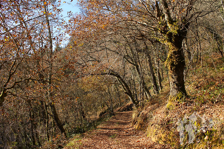 Sobreiral do Arnego (Pontevedra)