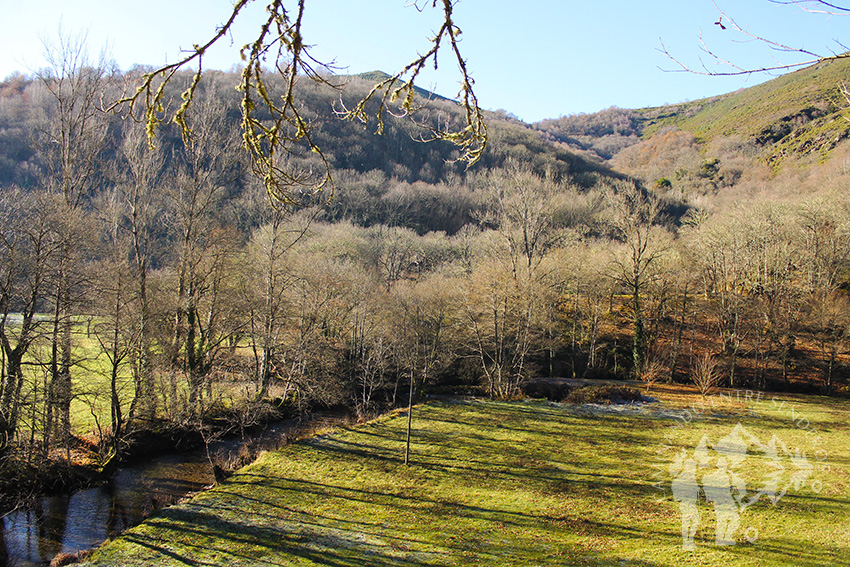 Bosque de Ribera