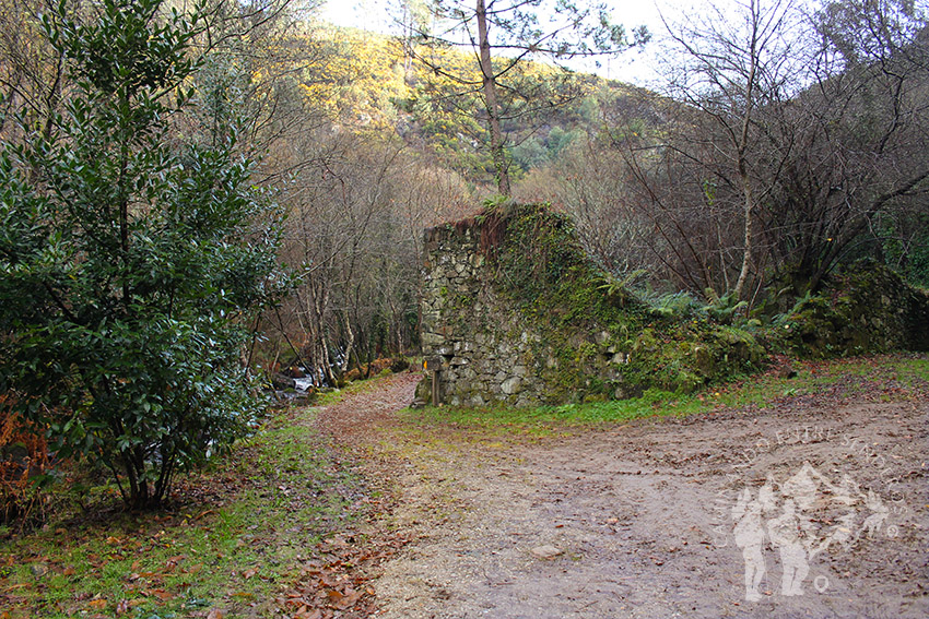Muiño