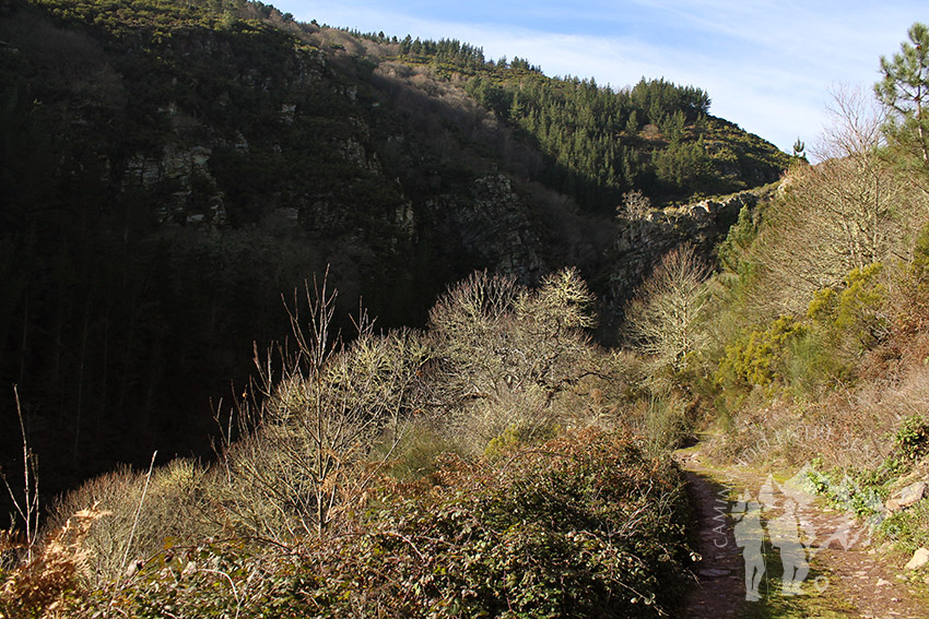 Seimeira de Vilagocende (A Fonsagrada)