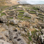Acrópole (Castro de Baroña)