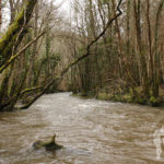 Río de Requiá