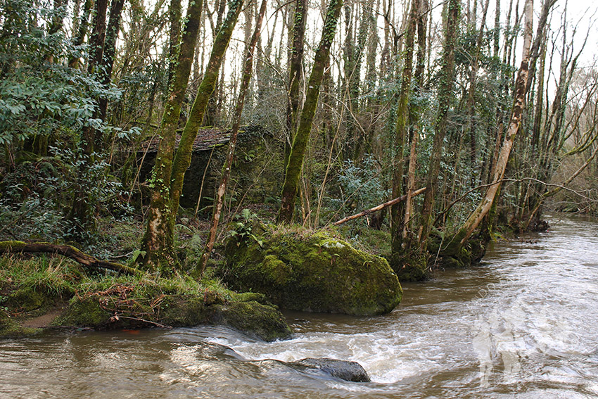 Muiño de agua