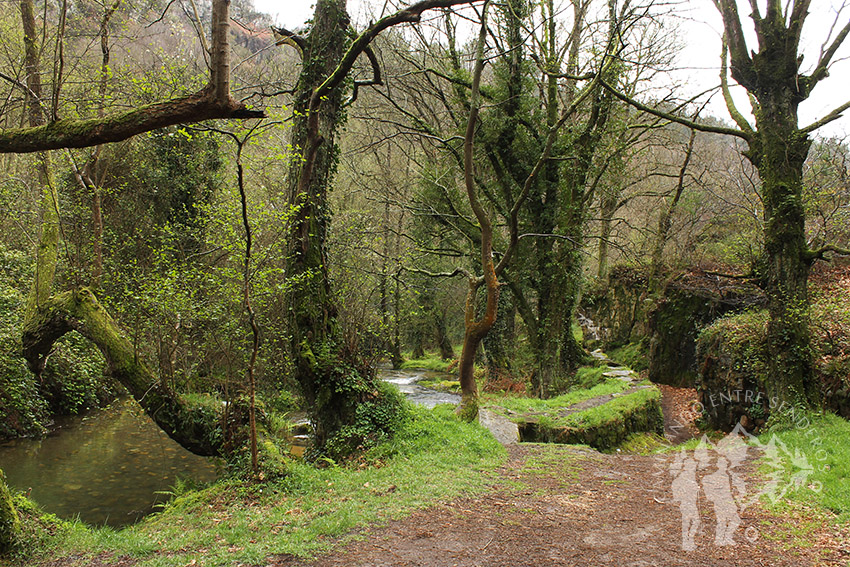 río de Oneta