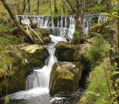 Pozo da Ferida (Viveiro)