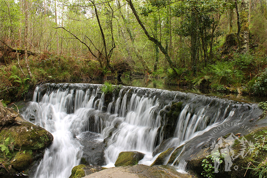 Salto de agua (río Loureiro)