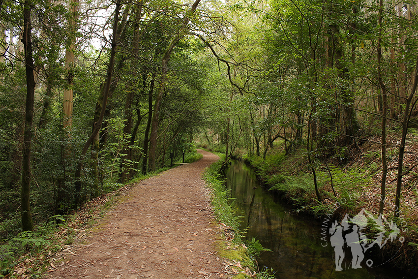Paseo entre el río Landro y el canal