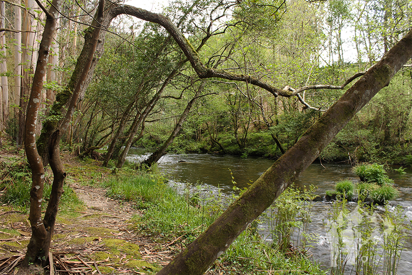 Río Landro