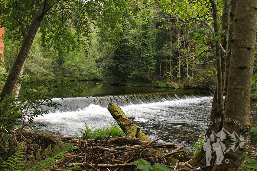 Pequeño salto de agua (Presa)