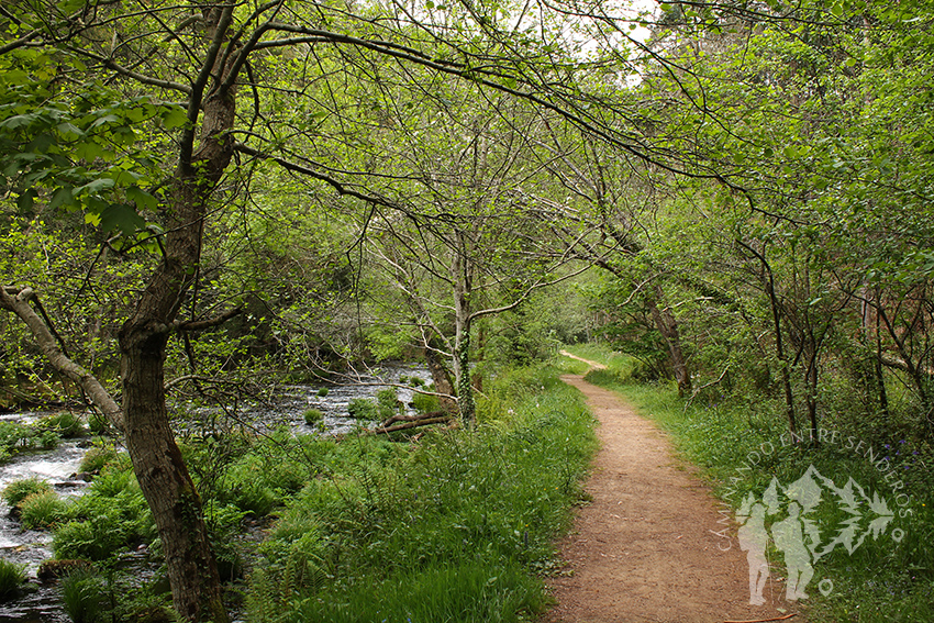 Paseo entre el río Landro y el canal