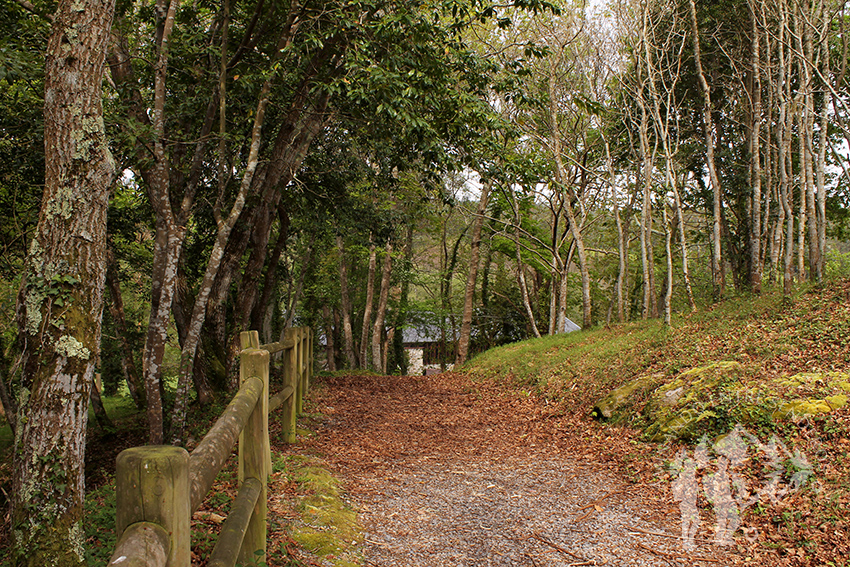 Jardín Botánico