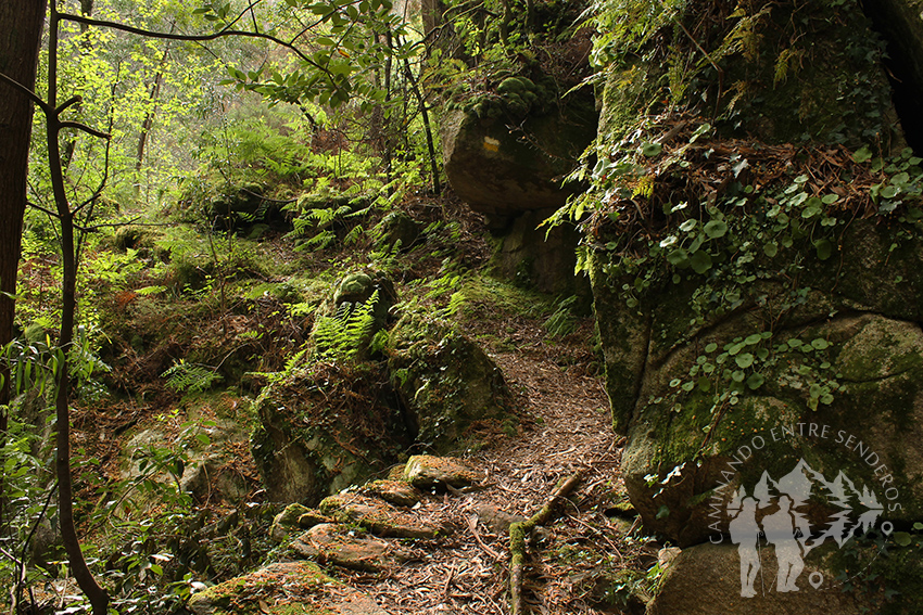Monte da Insua