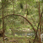 Río Sor