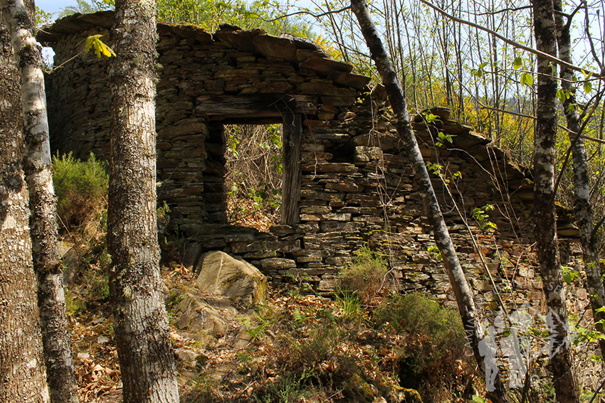 cortín de Monteagudo