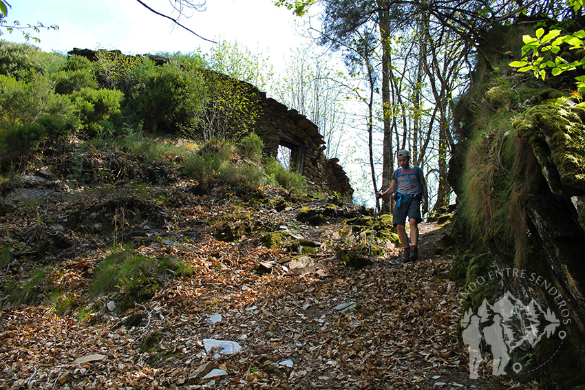 cortín de Monteagudo