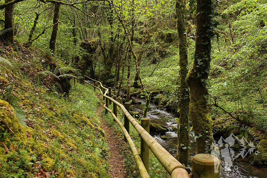 Pasarela de madera