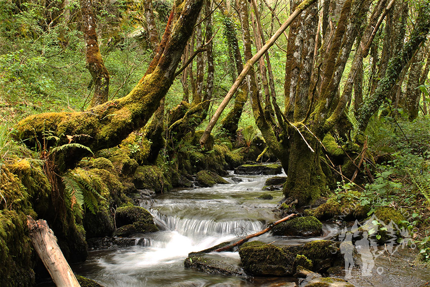 Río Queixoiro