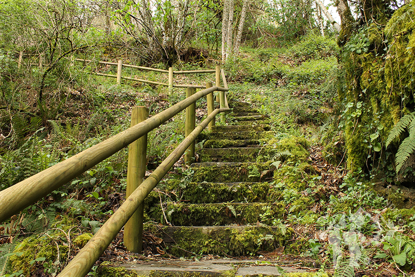 Escaleras segunda Seimeira
