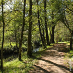 Camino río Escádebas