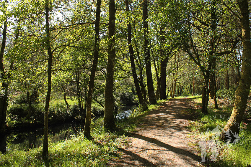 Camino río Escádebas