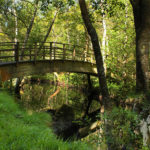 Puente río Escádebas
