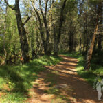 Camino río Escádebas