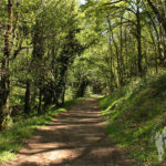 Camino río Escádebas