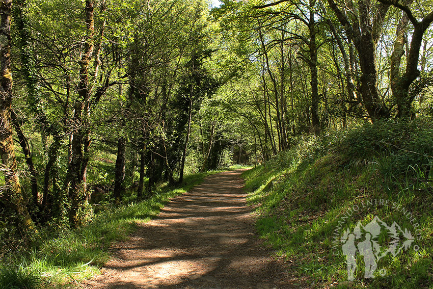 Camino río Escádebas