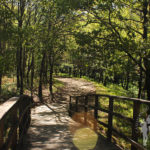 Puente río Escádebas