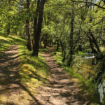 Área Recreativa de Sete Muíños
