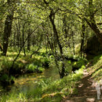 río Escádebas