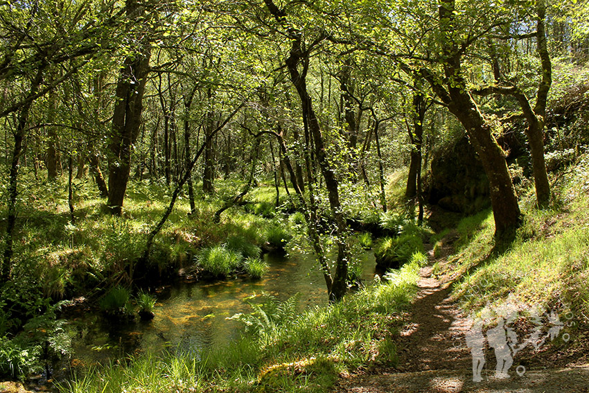 río Escádebas