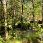 río Escádebas