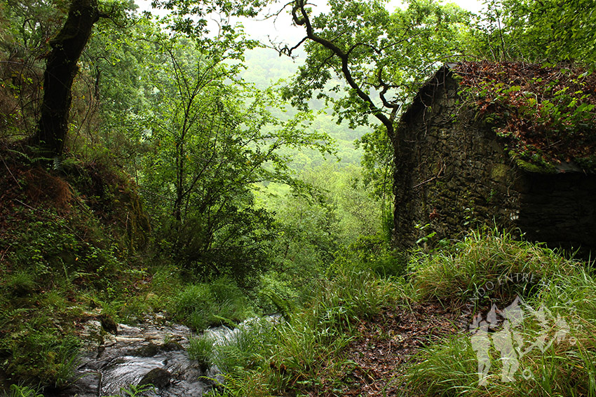 Molino de agua