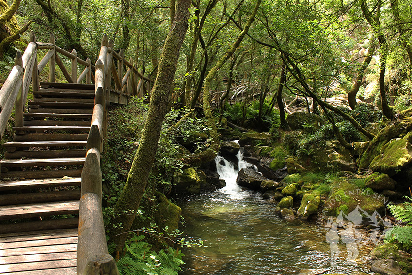 Pasarela madera río Valga