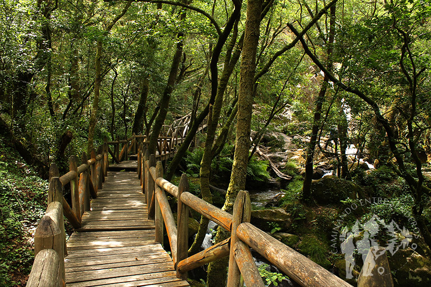 Pasarela madera río Valga