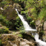 Primera fervenza Raxoi