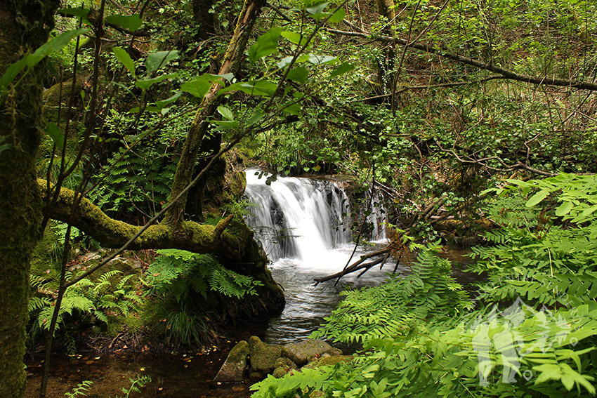 Salto agua río Valga