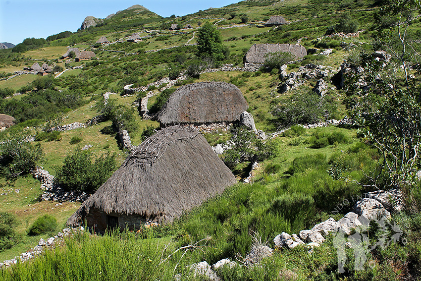 Braña de Mumián