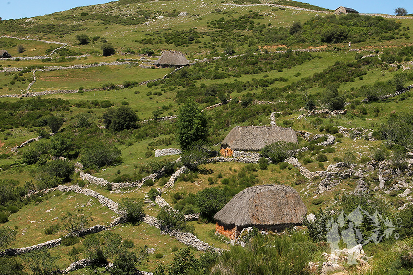 Braña de Mumián