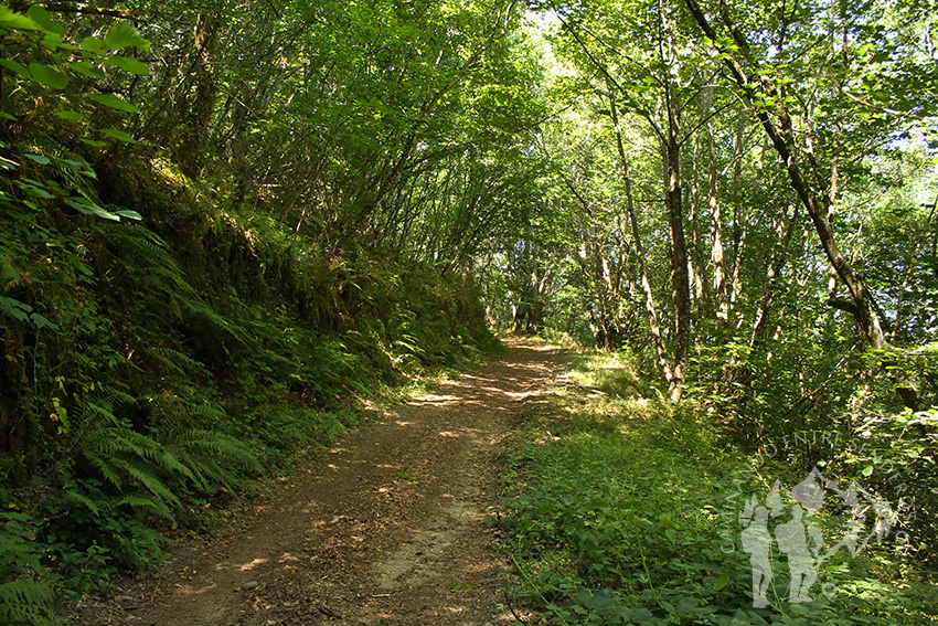 Fraga de Poboeiros (Castro Caldelas)