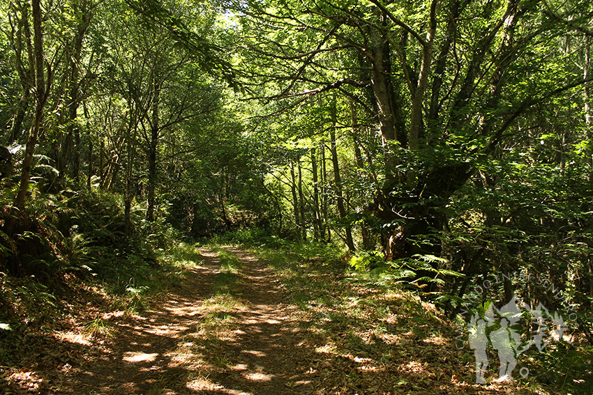 Fraga de Poboeiros (Castro Caldelas)