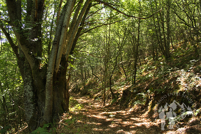 Fraga de Poboeiros (Castro Caldelas)