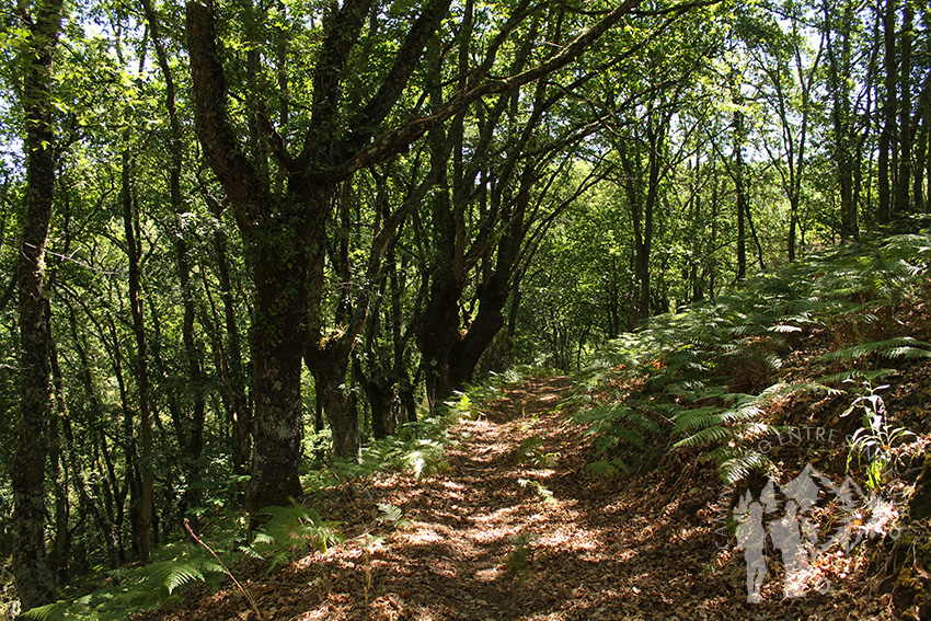 Fraga de Poboeiros (Castro Caldelas)